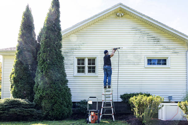 Best Driveway Pressure Washing  in Hampton Bays, NY